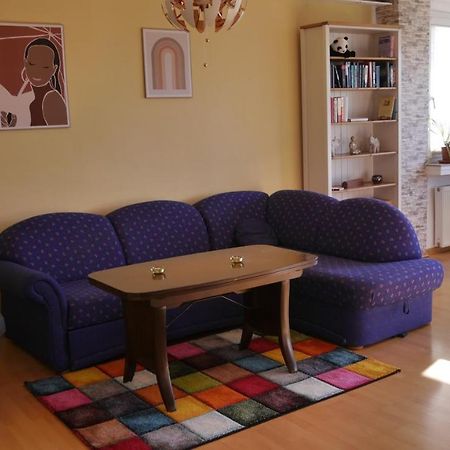 Grosszugige Wohnung Mit Herkulesblick Nahe Uni Kassel Eksteriør bilde